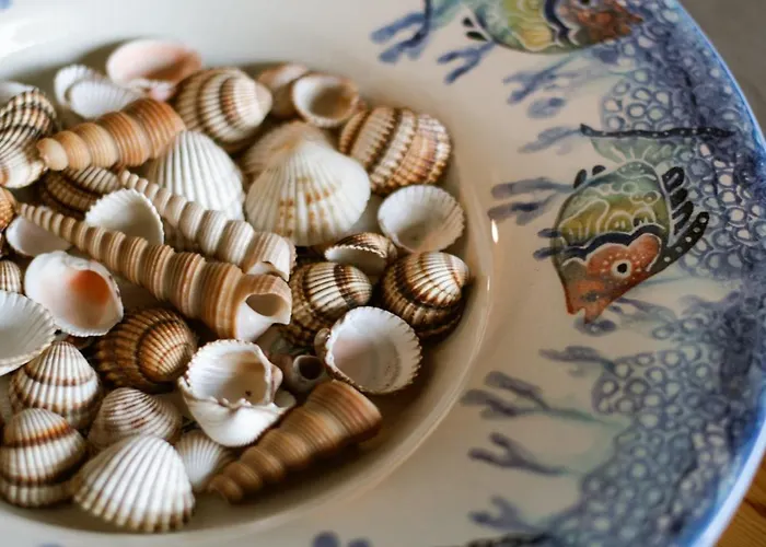 Calma Di Mare *